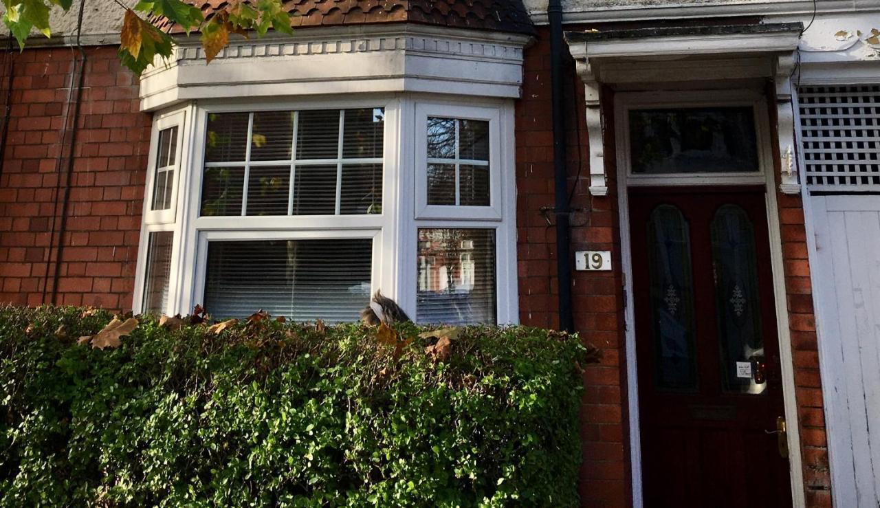 Lavender Apartment Leicester Exterior foto